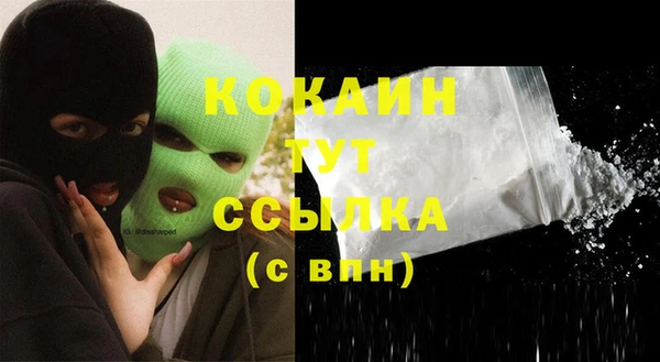 твердый Лиски