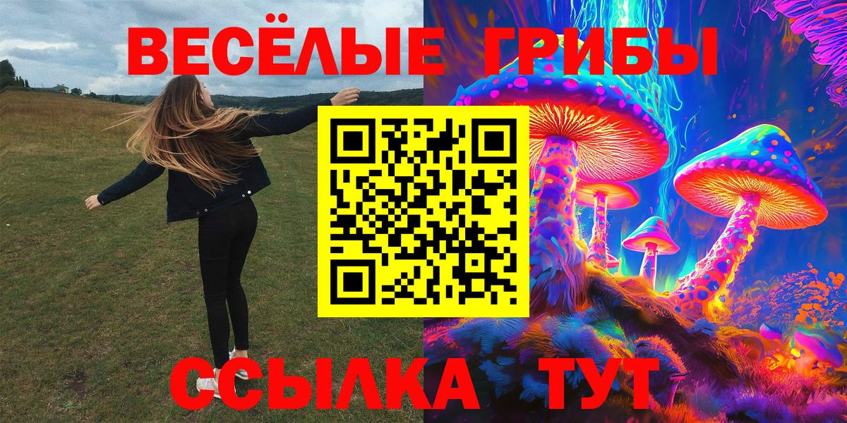 Северск  Галлюциногенные грибы Cubensis  Вход с VPN  Псилоцибиновые грибы Psilocybine cubensis 